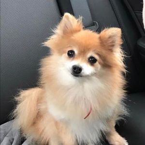 Meet your Posher, Julie